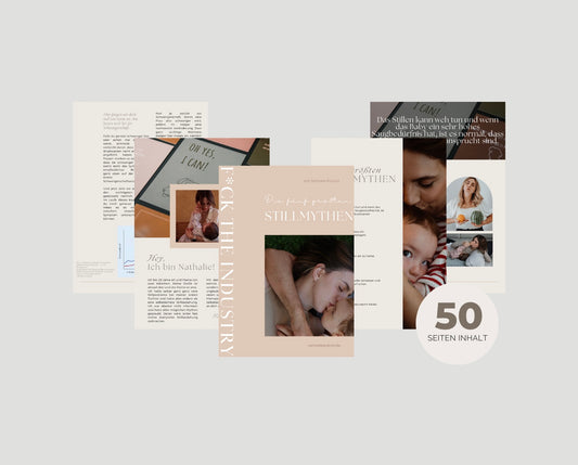 Die fünf größten Stillmythen - Ebook